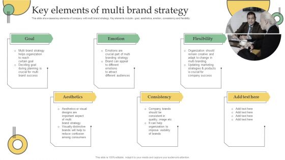 Key Elements Of Multi Brand Strategy Ppt PowerPoint Presentation File Layouts PDF