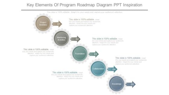 Key Elements Of Program Roadmap Diagram Ppt Inspiration