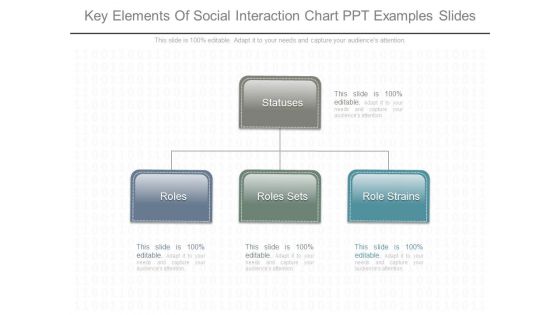 Key Elements Of Social Interaction Chart Ppt Examples Slides