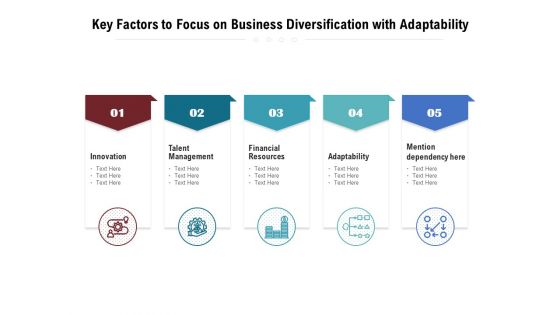 Key Factors To Focus On Business Diversification With Adaptability Ppt PowerPoint Presentation Summary Gallery PDF