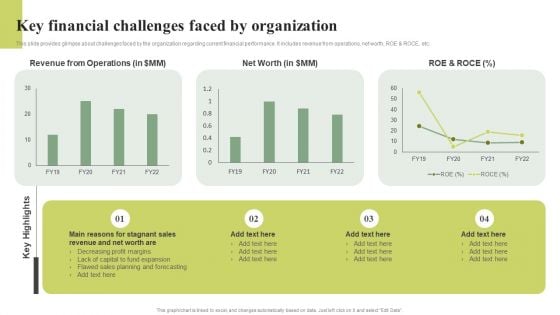 Key Financial Challenges Faced By Organization Effective Planning For Monetary Formats PDF