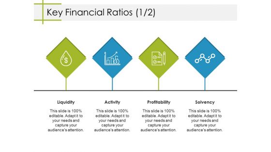 Key Financial Ratios Template 2 Ppt PowerPoint Presentation Summary Samples