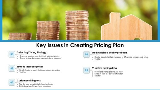 Key Issues In Creating Pricing Plan Ppt PowerPoint Presentation Icon Portfolio PDF