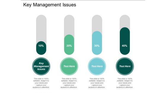 Key Management Issues Ppt PowerPoint Presentation Ideas Graphics Cpb