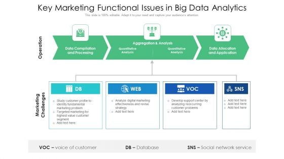 Key Marketing Functional Issues In Big Data Analytics Ppt PowerPoint Presentation Show Aids PDF