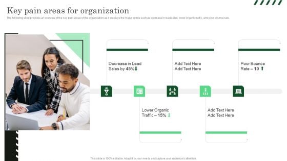 Key Pain Areas For Organization Ppt PowerPoint Presentation File Ideas PDF