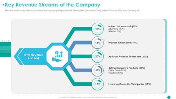 Key Revenue Streams Of The Company Sample PDF