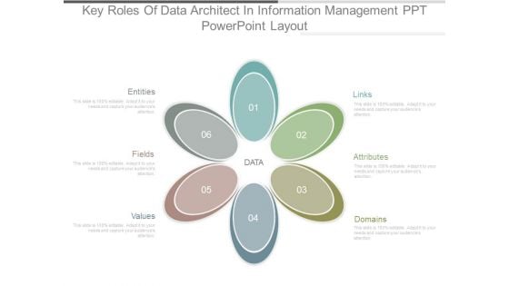 Key Roles Of Data Architect In Information Management Ppt Powerpoint Layout