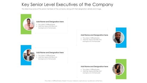 Key Senior Level Executives Of The Company Ppt Portfolio Model PDF