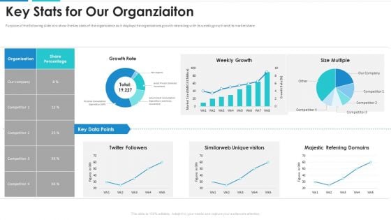 Key Stats For Our Organziaiton Mockup PDF