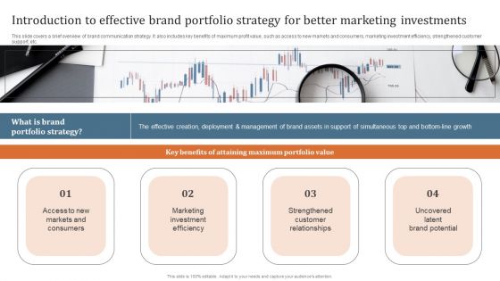 Key Steps To Develop Brand Portfolio Introduction To Effective Brand Portfolio Strategy For Better Rules PDF