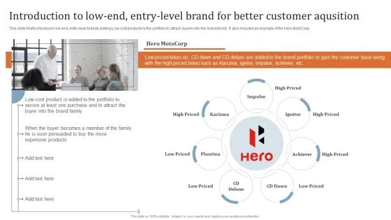 Key Steps To Develop Brand Portfolio Introduction To Low End Entry Level Brand For Better Themes PDF