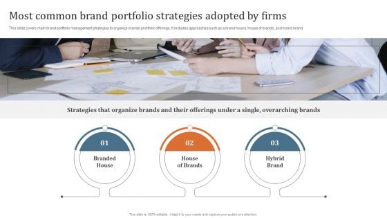 Key Steps To Develop Brand Portfolio Most Common Brand Portfolio Strategies Adopted By Firms Elements PDF