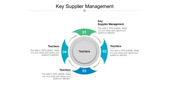 Key Supplier Management Ppt PowerPoint Presentation Outline Shapes Cpb