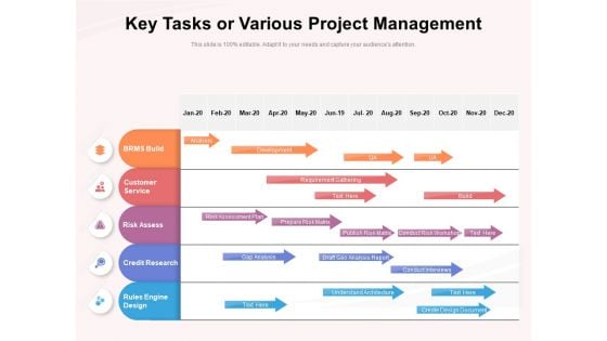 Key Tasks Or Various Project Management Ppt PowerPoint Presentation Gallery Graphics PDF