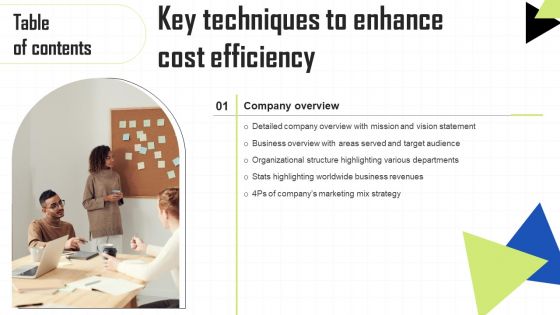 Key Techniques To Enhance Cost Efficiency Table Of Contents Inspiration PDF