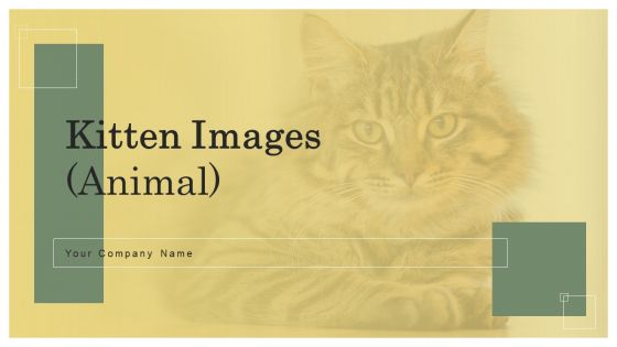 Kitten Images Animal Ppt PowerPoint Presentation Complete Deck With Slides Kitten Images Animal Ppt PowerPoint Presentation Complete Deck With Slides