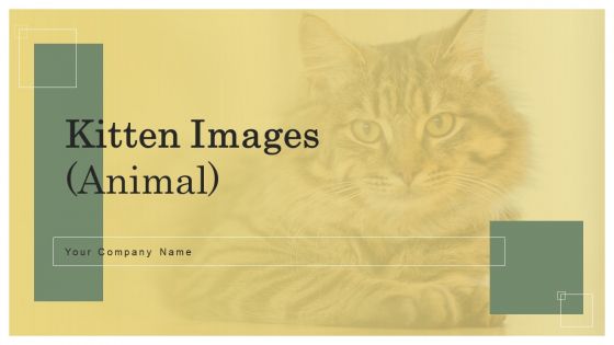 Kitten Images Animal Ppt PowerPoint Presentation Complete Deck With Slides