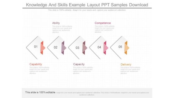 Knowledge And Skills Example Layout Ppt Samples Download