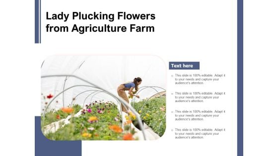 Lady Plucking Flowers From Agriculture Farm Ppt PowerPoint Presentation Diagram Graph Charts PDF