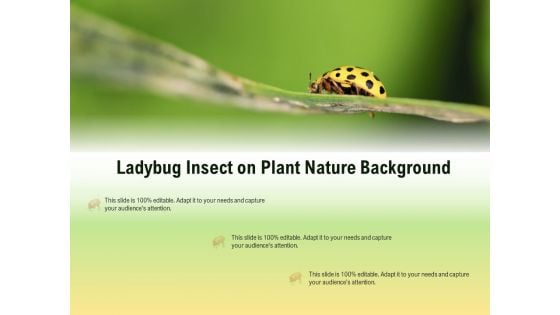 Ladybug Insect On Plant Nature Background Ppt PowerPoint Presentation Outline Images PDF