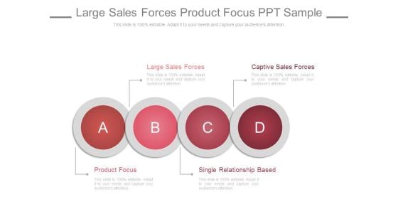 Large Sales Forces Product Focus Ppt Slides