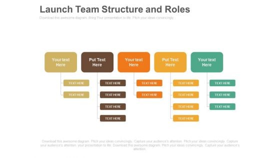 Launch Team Structure And Roles Business Ppt Slides