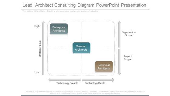 Lead Architect Consulting Diagram Powerpoint Presentation