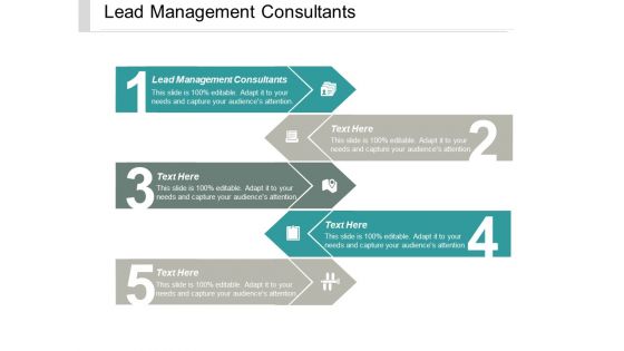 Lead Management Consultants Ppt PowerPoint Presentation Outline Graphics Template Cpb