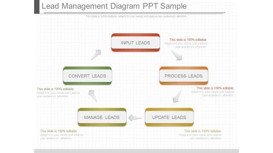 Lead Management Diagram Ppt Sample