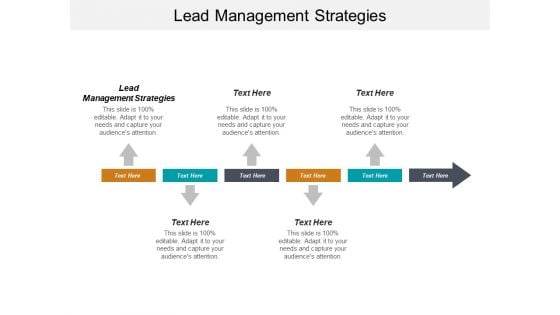 Lead Management Strategies Ppt PowerPoint Presentation Icon Show Cpb