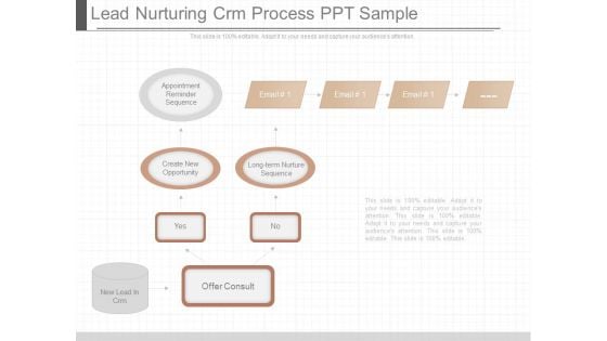 Lead Nurturing Crm Process Ppt Sample