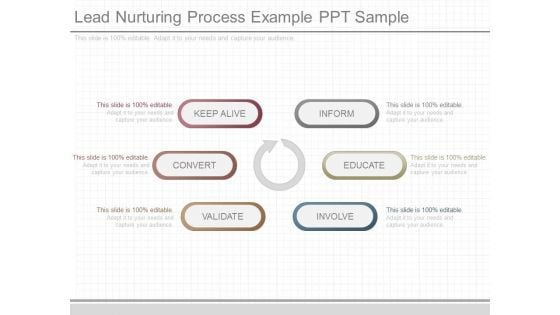 Lead Nurturing Process Example Ppt Sample
