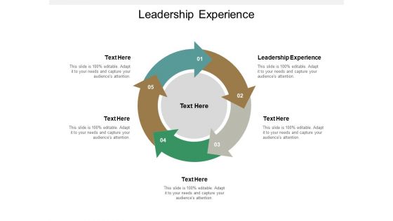 Leadership Experience Ppt PowerPoint Presentation Model Shapes Cpb