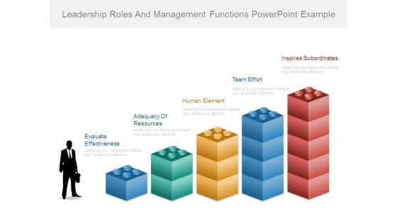 Leadership Roles And Management Functions Powerpoint Example