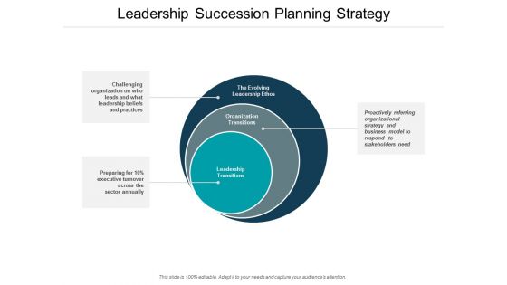 Leadership Succession Planning Strategy Ppt PowerPoint Presentation Professional Topics