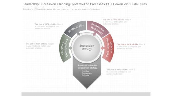 Leadership Succession Planning Systems And Processes Ppt Powerpoint Slide Rules