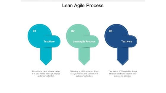 Lean Agile Process Ppt PowerPoint Presentation Styles Backgrounds Cpb