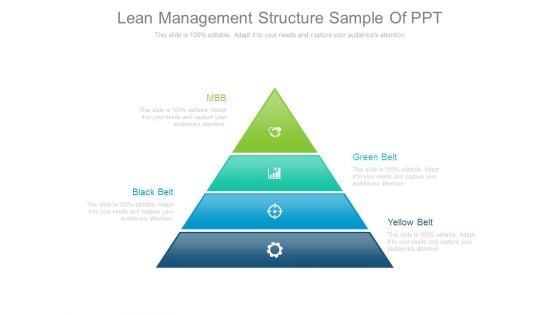 Lean Management Structure Sample Of Ppt