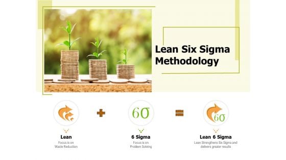 Lean Six Sigma Methodology Ppt PowerPoint Presentation Pictures Brochure PDF