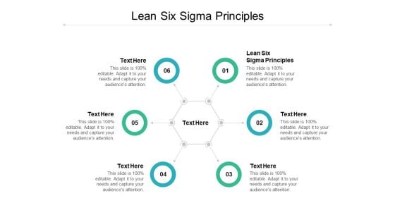 Lean Six Sigma Principles Ppt PowerPoint Presentation Professional Backgrounds Cpb