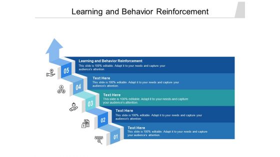 Learning And Behavior Reinforcement Ppt PowerPoint Presentation Professional Example File Cpb