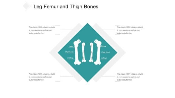 Leg Femur And Thigh Bones Ppt Powerpoint Presentation Professional Themes