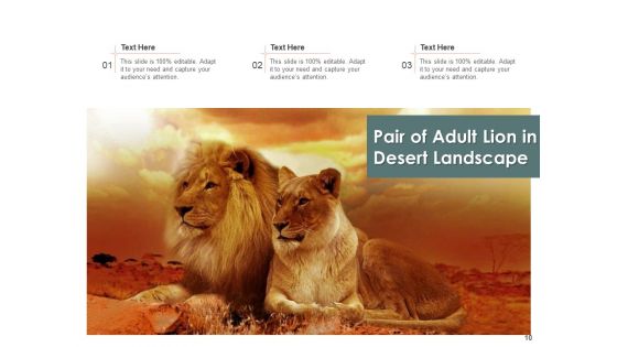 Leo Lion Face Wild Buffalo Ppt PowerPoint Presentation Complete Deck