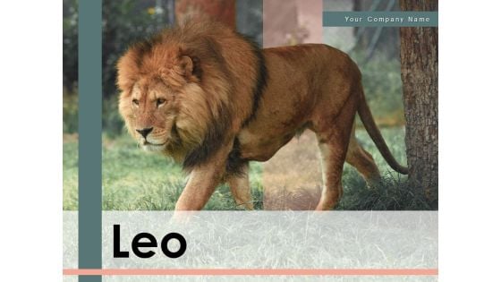 Leo Lion Face Wild Buffalo Ppt PowerPoint Presentation Complete Deck