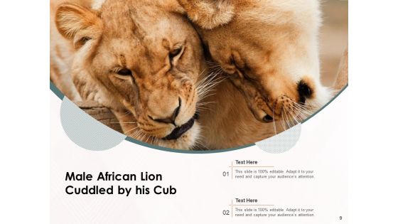 Leo Lion Face Wild Buffalo Ppt PowerPoint Presentation Complete Deck