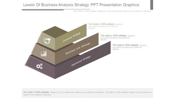 Levels Of Business Analysis Strategy Ppt Presentation Graphics