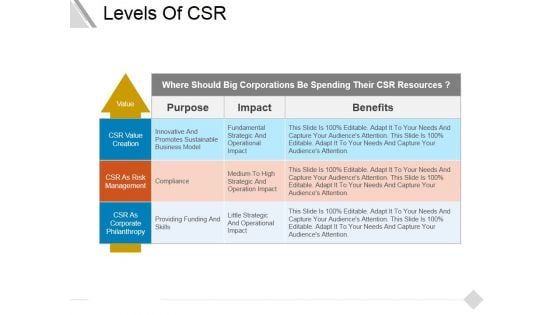 Levels Of Csr Ppt PowerPoint Presentation File Objects