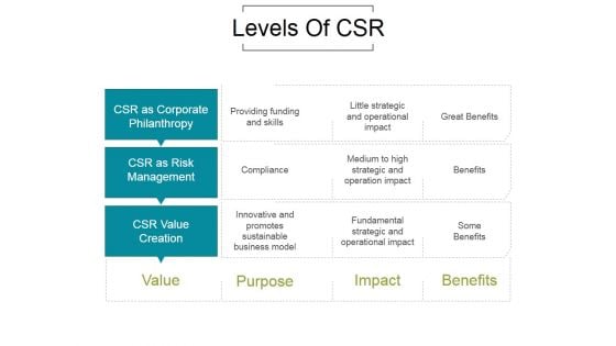 Levels Of Csr Ppt PowerPoint Presentation Information