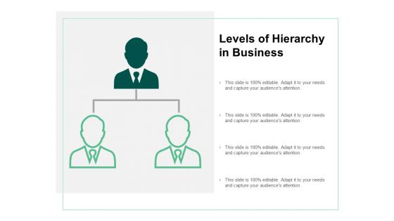 Levels Of Hierarchy In Business Ppt PowerPoint Presentation Infographics Summary